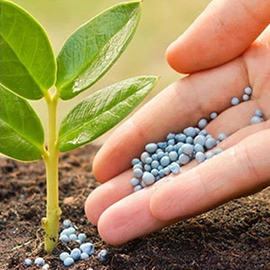 Inorganic Fertilizers